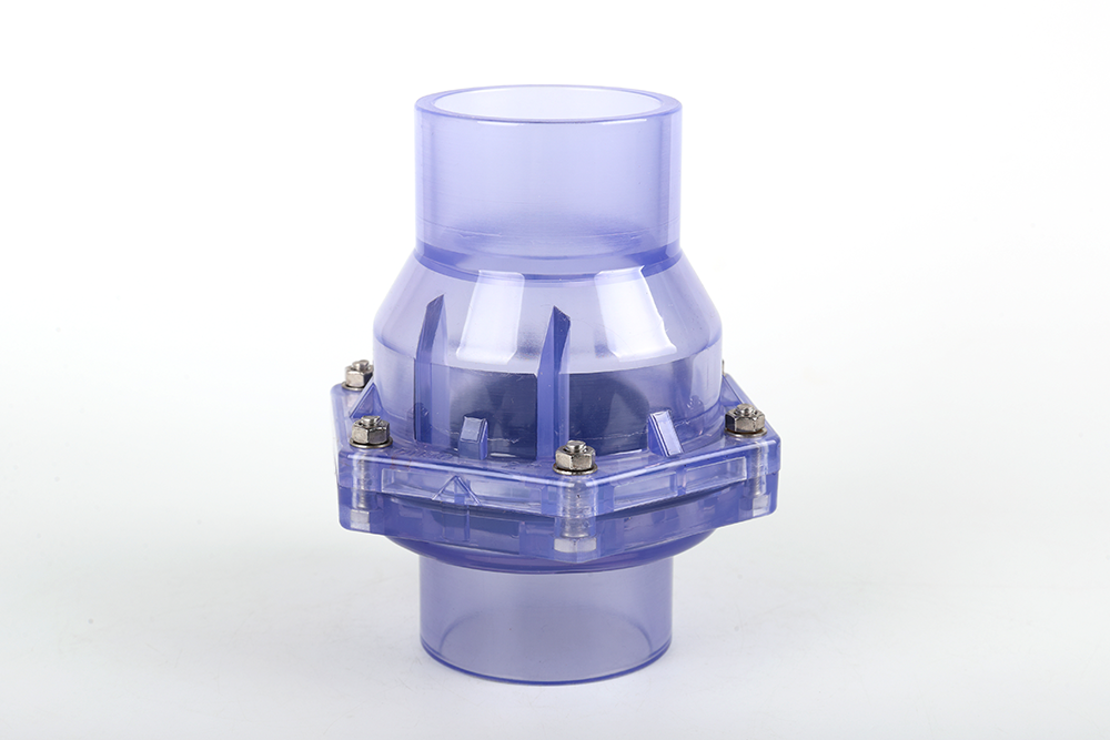 大成镇透明翻板式止回阀